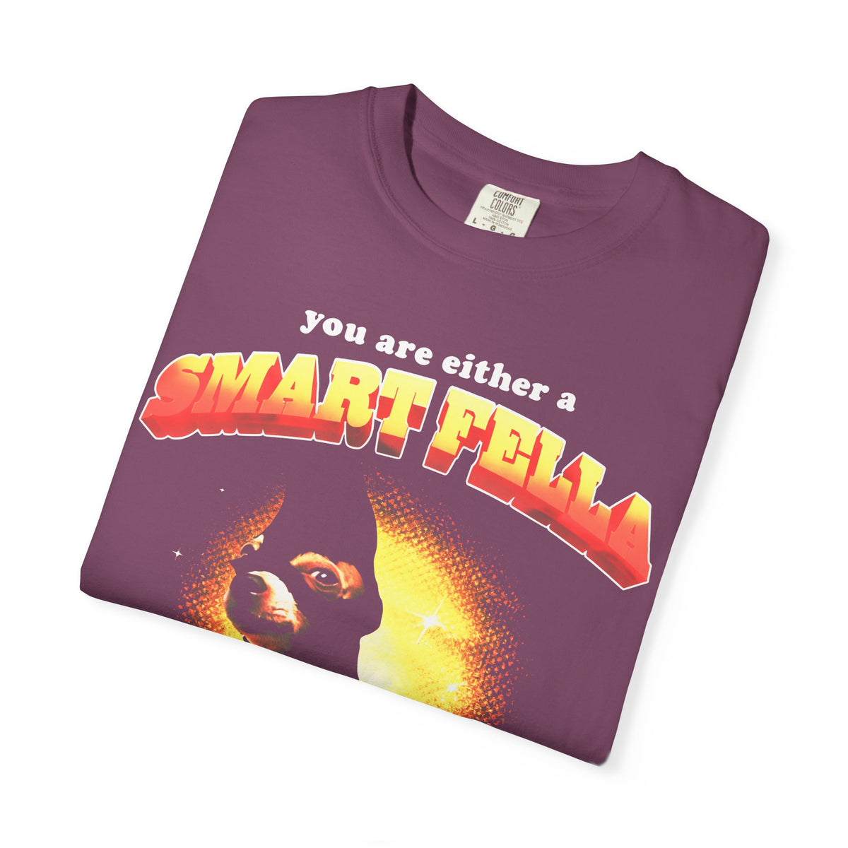 Smart Fella Or Fart Smella Classic Tee | Funny Meme Gift