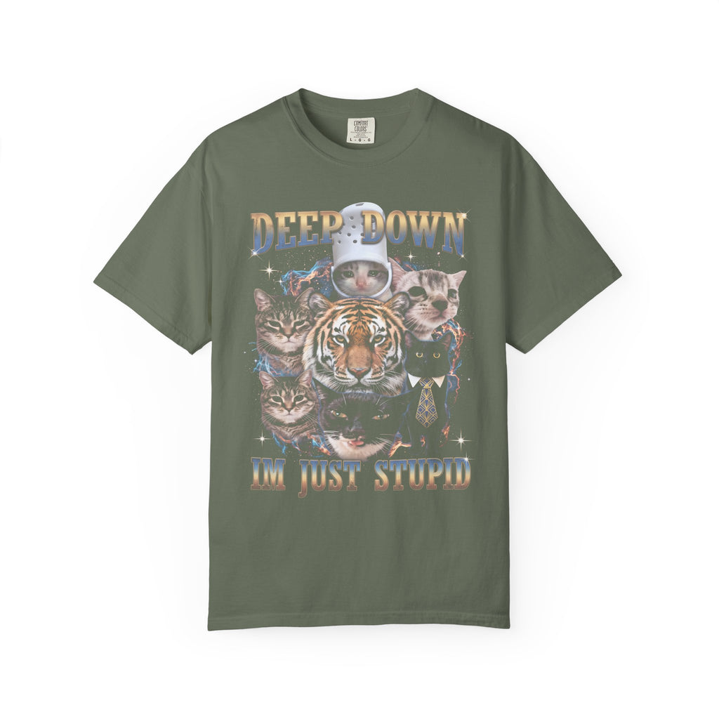 Deep Down Im Just Stupid Classic Tee | Tiger Cat | Galaxy Meme