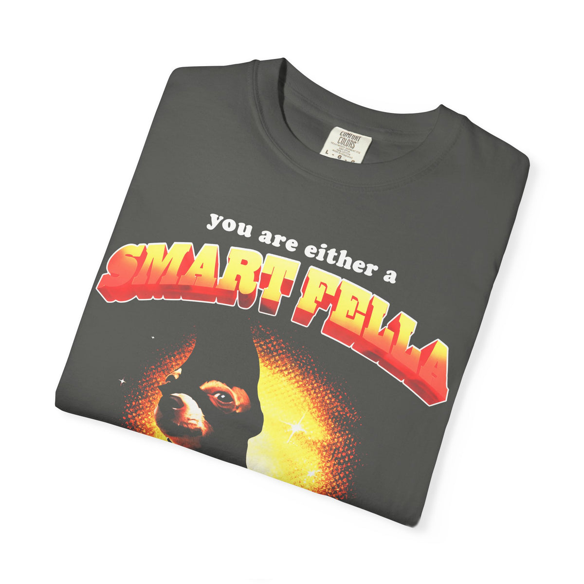 Smart Fella Or Fart Smella Classic Tee | Funny Meme Gift