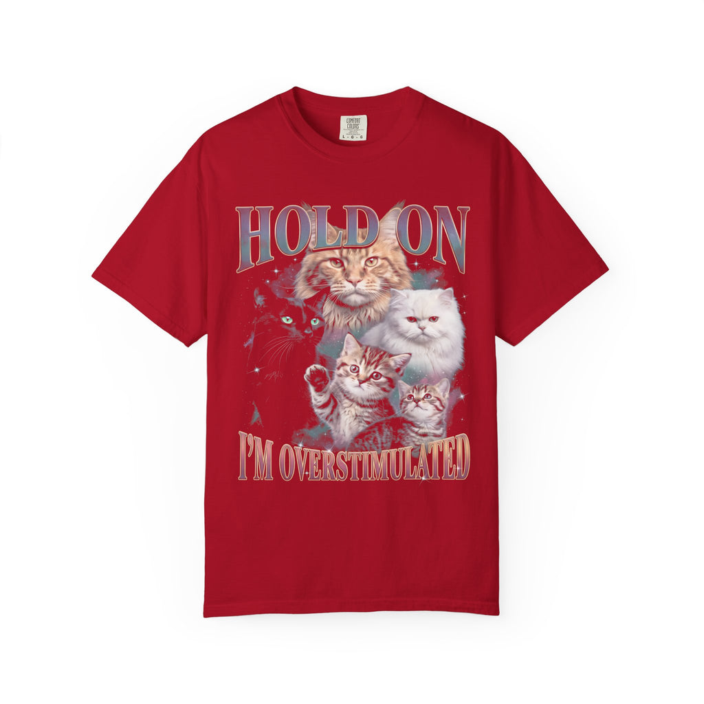 Hold On I'm Overstimulated Classic Tee | Funny Cat Lover