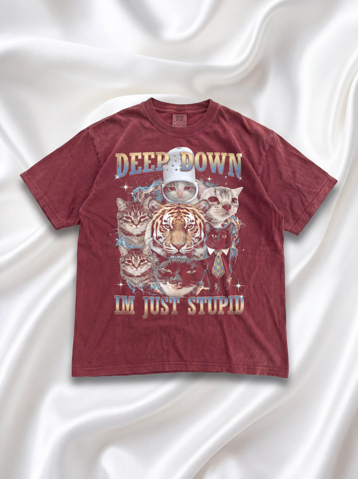 Deep Down Im Just Stupid Classic Tee | Tiger Cat | Galaxy Meme